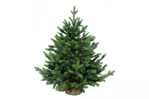 Искусственная ель Изумрудная
