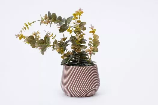 Искусственное растение Эвкалипт