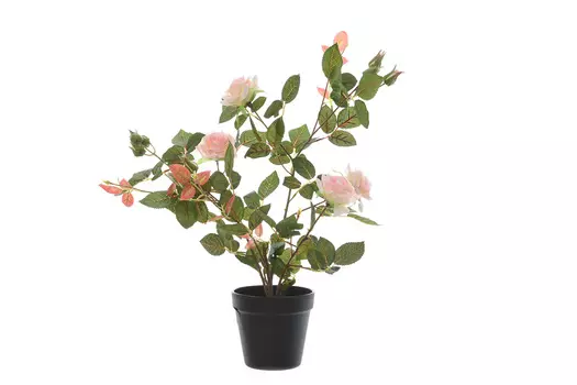 Искусственное растение Роза