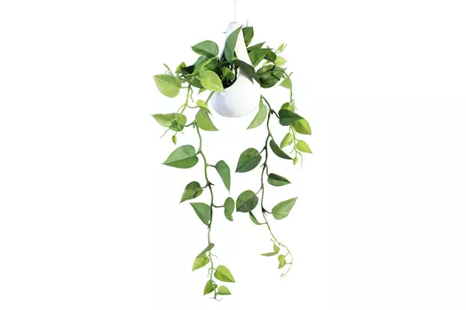 Искусственное растение в балконном ящике Лук и монстера