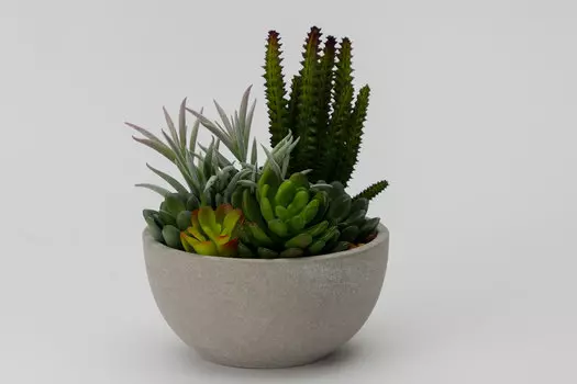 Искусственное растение в цементном горшке Суккулент