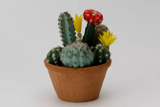 Искусственное растение в глиняном горшке Кактус