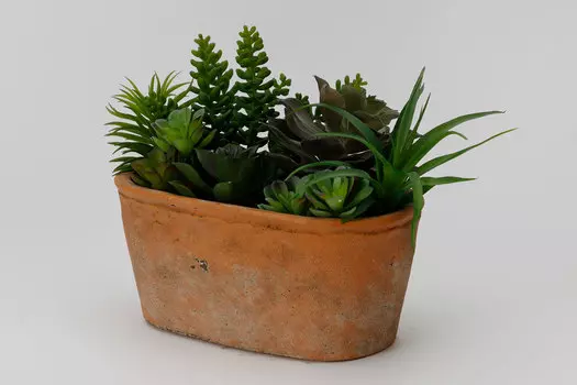 Искусственное растение в глиняном горшке Суккулент