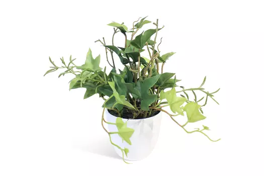 Искусственное растение в кашпо Английский плющ