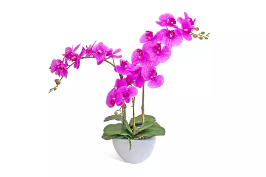Искусственное растение в кашпо Куб Орхидея