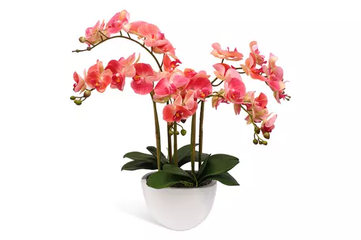 Искусственное растение в кашпо Орхидея Фаленопсис
