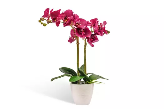 Искусственное растение в кашпо Орхидея Фаленопсис