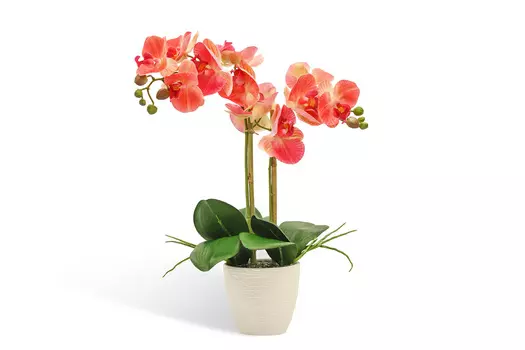 Искусственное растение в кашпо Орхидея Фаленопсис