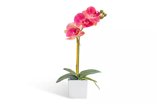 Искусственное растение в кашпо Орхидея Фаленопсис