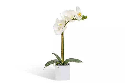 Искусственное растение в кашпо Орхидея Фаленопсис