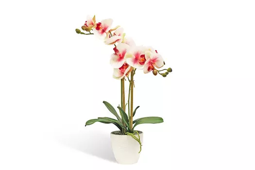 Искусственное растение в кашпо Орхидея Фаленопсис
