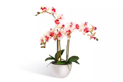 Искусственное растение в кашпо Орхидея Фаленопсис