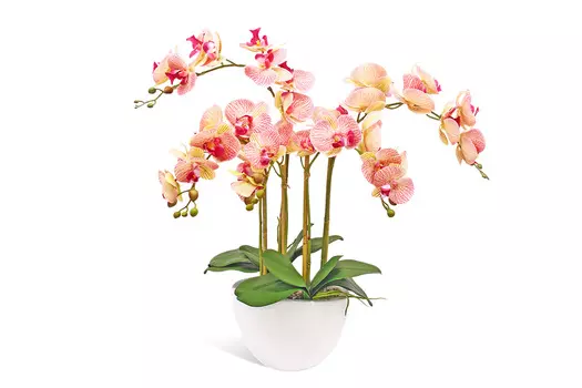 Искусственное растение в кашпо Орхидея Фаленопсис