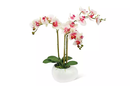 Искусственное растение в кашпо Орхидея Фаленопсис