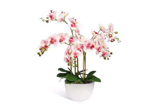 Искусственное растение в кашпо Орхидея Фаленопсис