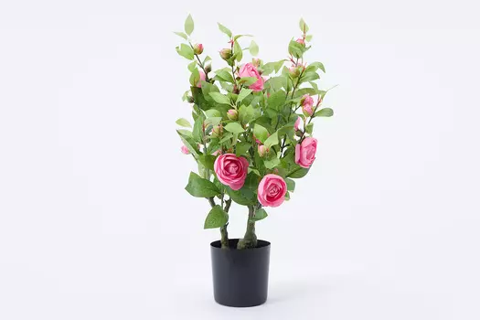 Искусственное растение в кашпо ORTM