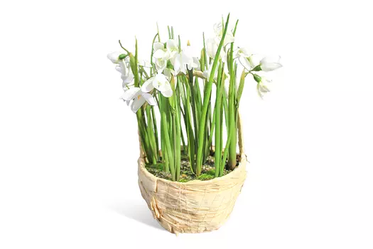Искусственное растение в корзинке Подснежник