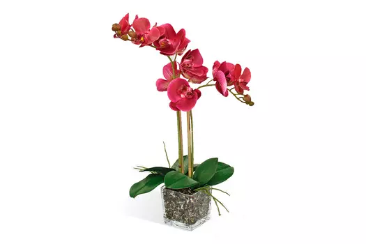 Искусственное растение в Кубе Орхидея Фаленопсис