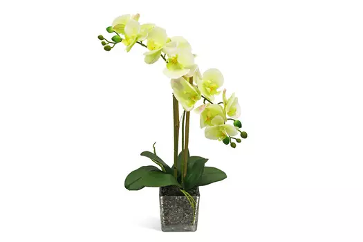Искусственное растение в Кубе Орхидея Фаленопсис