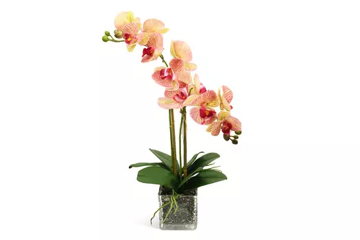 Искусственное растение в Кубе Орхидея Фаленопсис