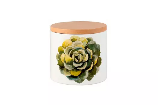 Ёмкость для бисквитов Cactus