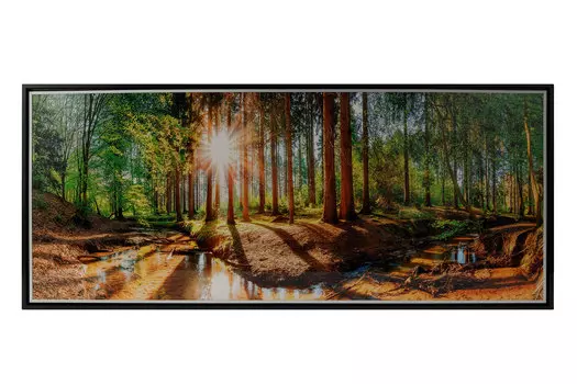 Картина в раме АGL2