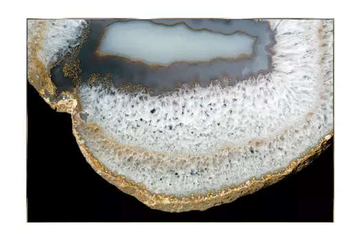 Картина в раме Ammonite