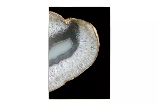 Картина в раме Ammonite