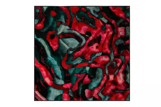 Картина в раме Coral Sea