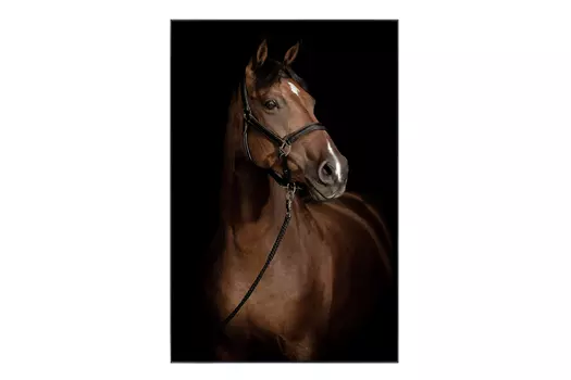 Картина в раме Creole