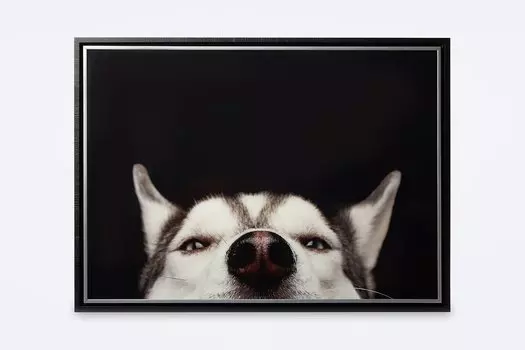 Картина в раме Пёсик