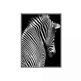 Картина в раме серия 3D глянец