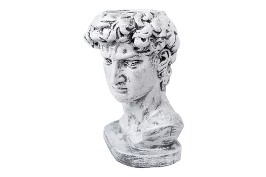 Кашпо Голова Давида