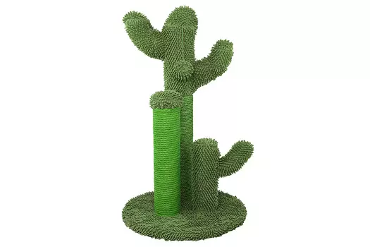 Когтеточка Оазис