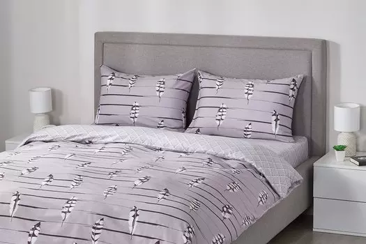 Комплект постельного белья 2655