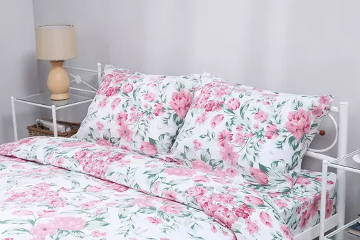 Комплект постельного белья Molly