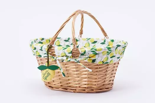 Корзина с ручками TB21