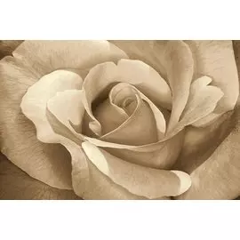 Ковёр Hunnu Relief