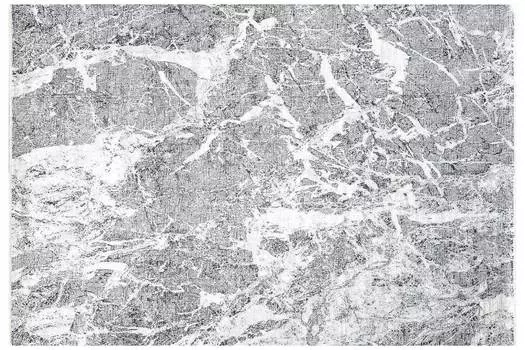 Ковёр Salvatore Plus