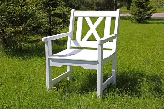 Кресло Ливерпуль 20801