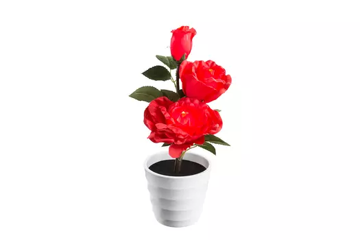 Лампа настольная Orphelia