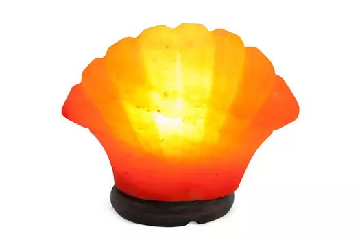 Лампа соляная Ракушка