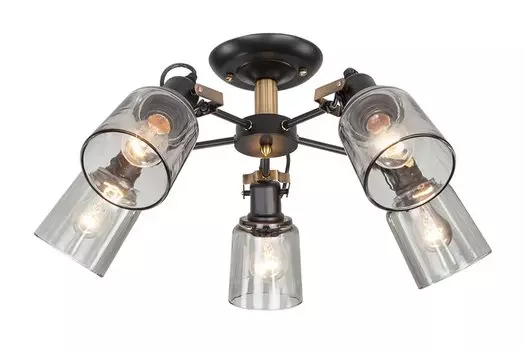 Люстра 70111/5