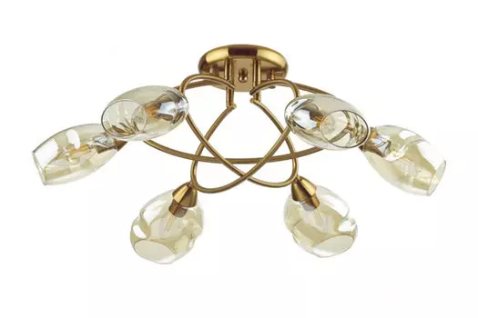 Люстра Moderni Orla