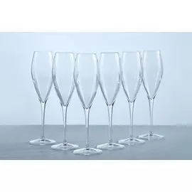 Набор бокалов для шампанского 270 мл Atelier