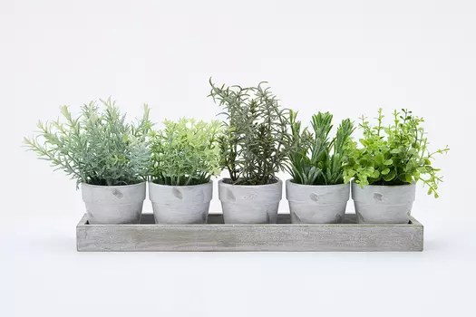 Набор искусственных растений в бумажных горшках в деревянном ящике Папоротник