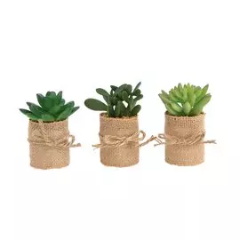 Набор искусственных растений в горшке Суккулент