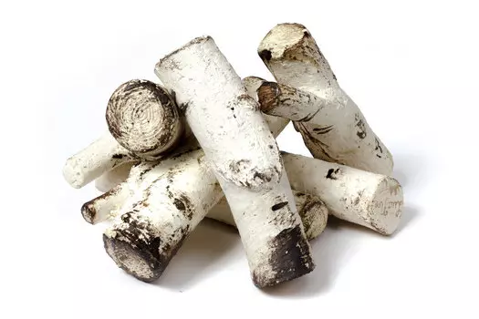 Набор керамических дров для биокамина Березовый шалаш