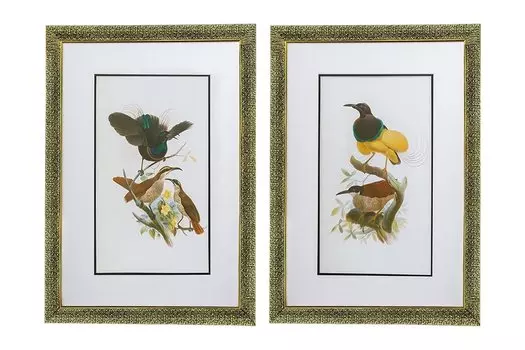 Набор панно в раме Птицы