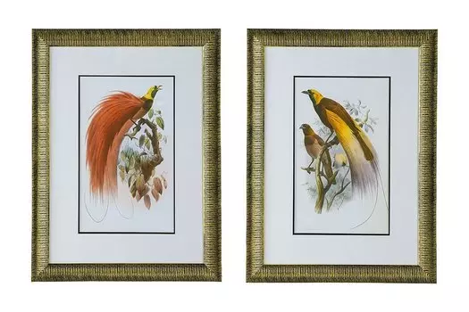 Набор панно в раме Птицы